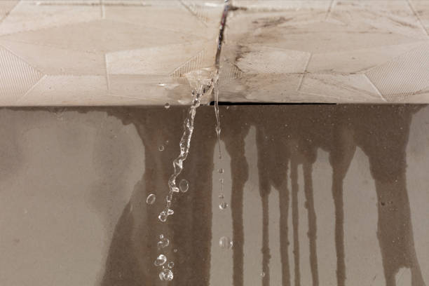Professional Structural Drying technician working in Hasbrouck Heights, NJ
